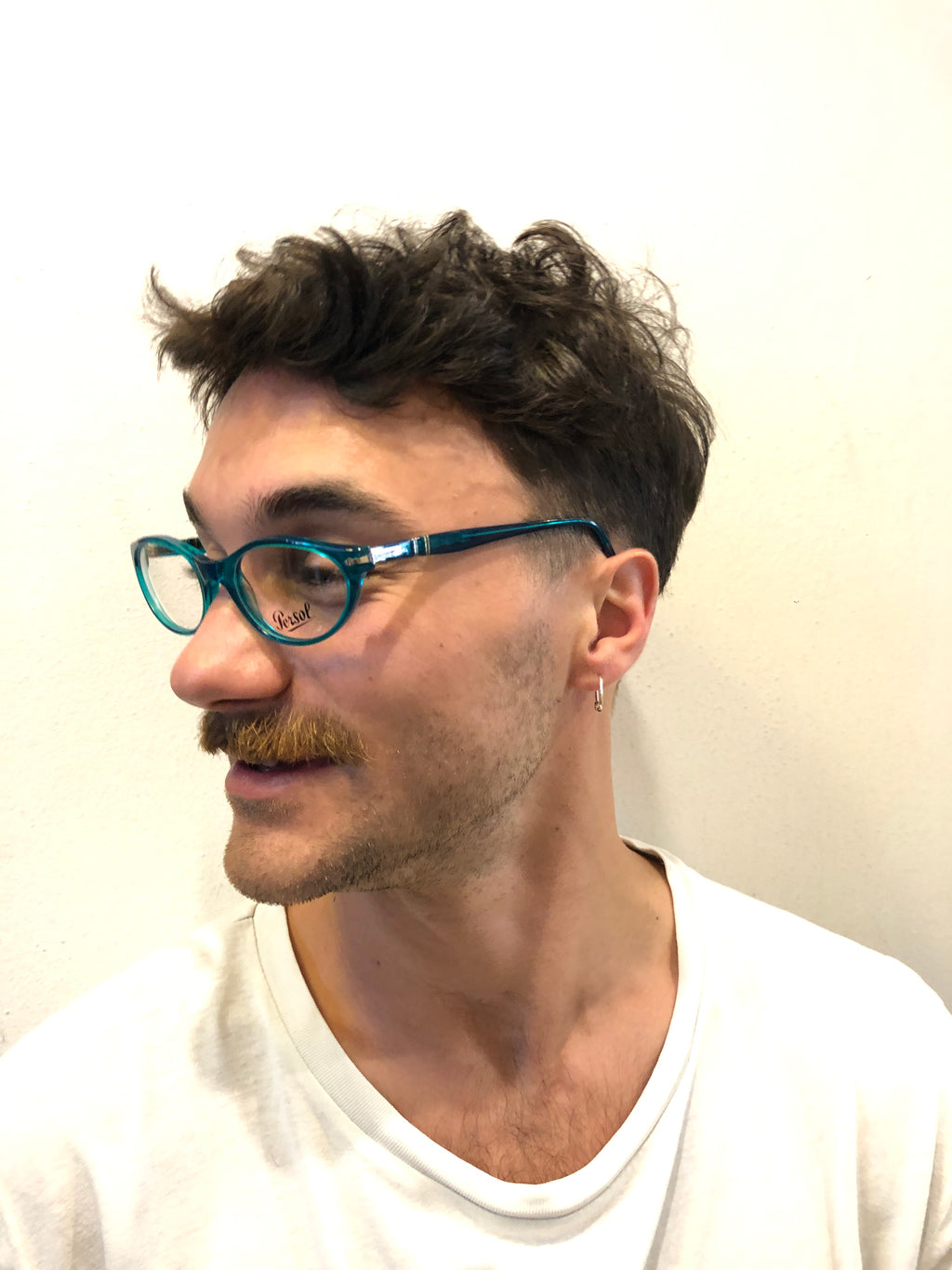 PERSOL 2518-v 50 17 129 135 vintage glasses